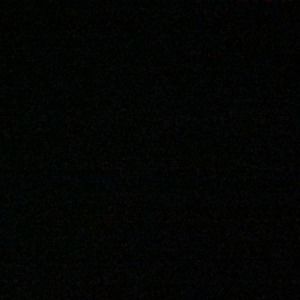 Meet your Posher, Trevor